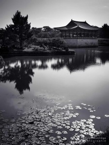 LA CARTE MÉMOIRE N°14 D’ OLIVIER MONTIÈGE