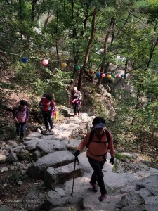 LA CARTE MÉMOIRE N°15 D’ OLIVIER MONTIÈGE