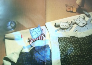 OLYMPUS DIGITAL CAMERA