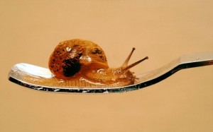 Capture d_e_cran 2013-06-16 a_ 23.22.04