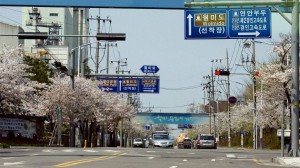 12946964_252865291725187_113258249_o (1)